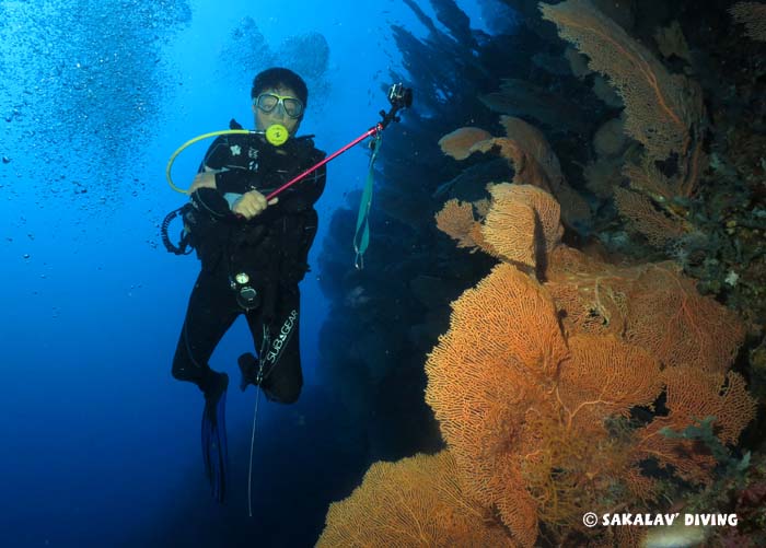 liveaboard dive cruise Madagascar